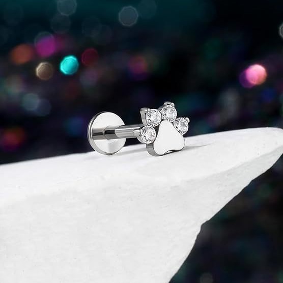 Threadless CZ-top Ear and Lip Stud