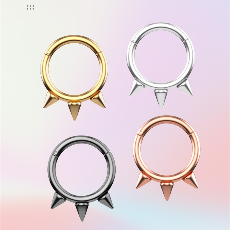 316L Stainless Steel Hinged Segment Hoop(图1)