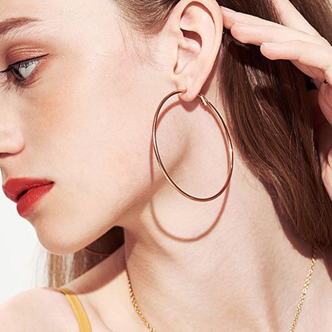 Fashionable Ear Hoops(图1)