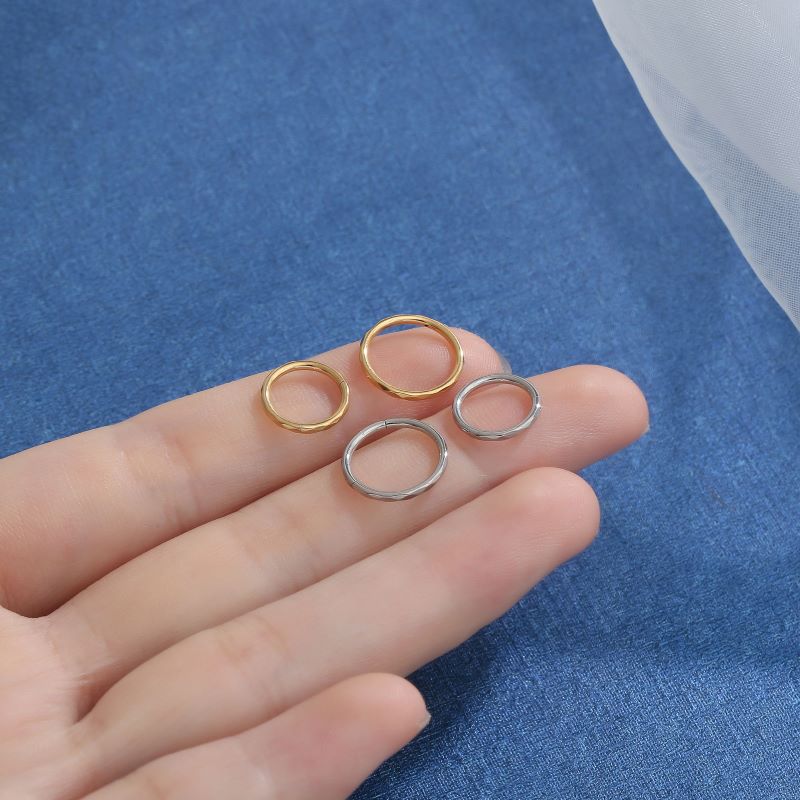 Hinged Segment Ring(图1)