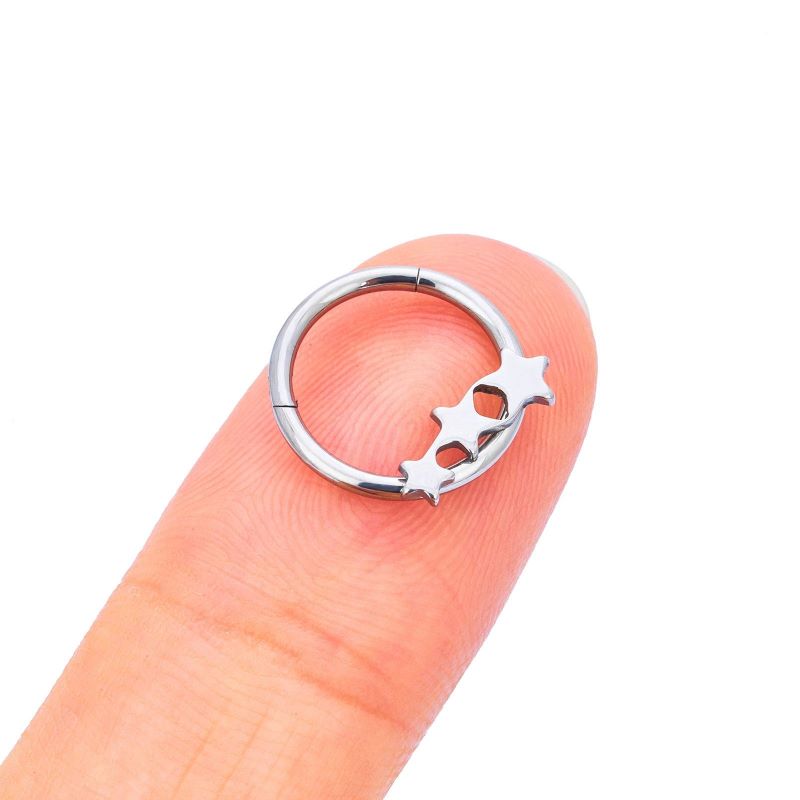 Hinged Segment Ring(图1)