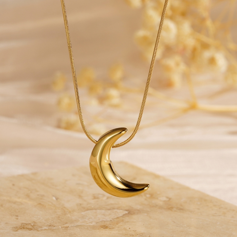 Necklace with Moon Pendant(图1)