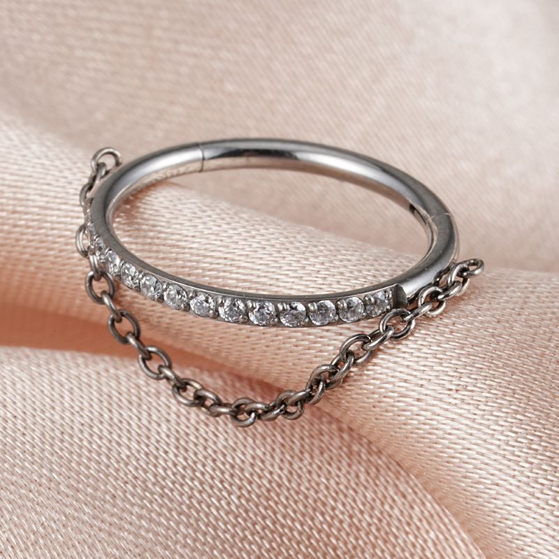 Hinged Segment Ring with Single Chain(图1)